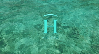 WasserMitLogo
